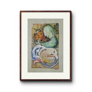 Fragmented Reflections