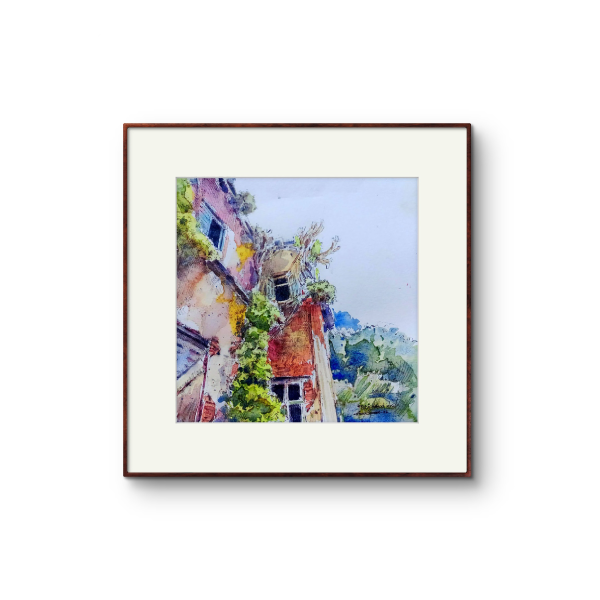 Bhagya Cool Zamindar House (Frog View)