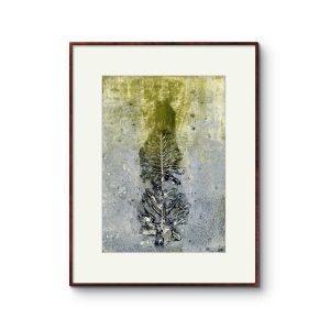 Impression of a Leaf